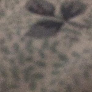 Meet your Posher, Lee